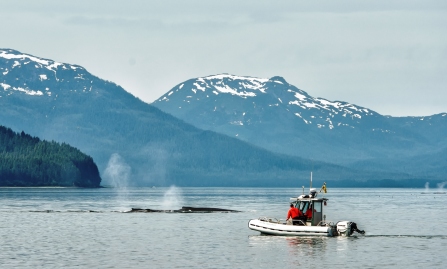 Glacier Bay National Park Facts