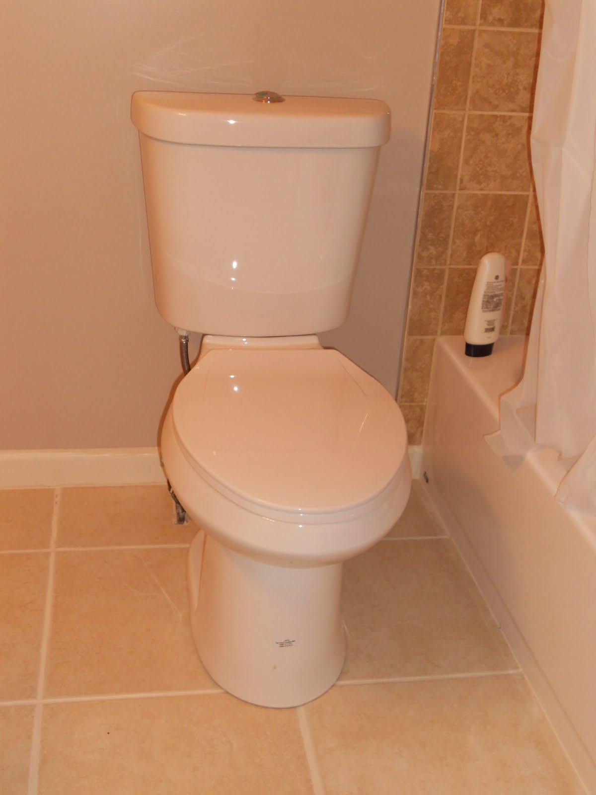 Glacier Bay Toilets Dual Flush Review