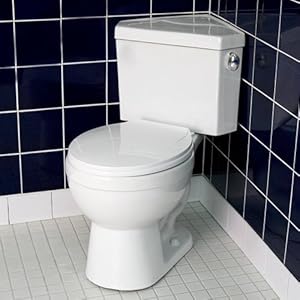 Glacier Bay Toilets Dual Flush Review