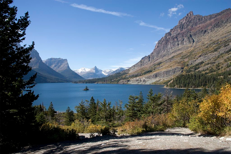 Glacier National Park Canada Vegetation