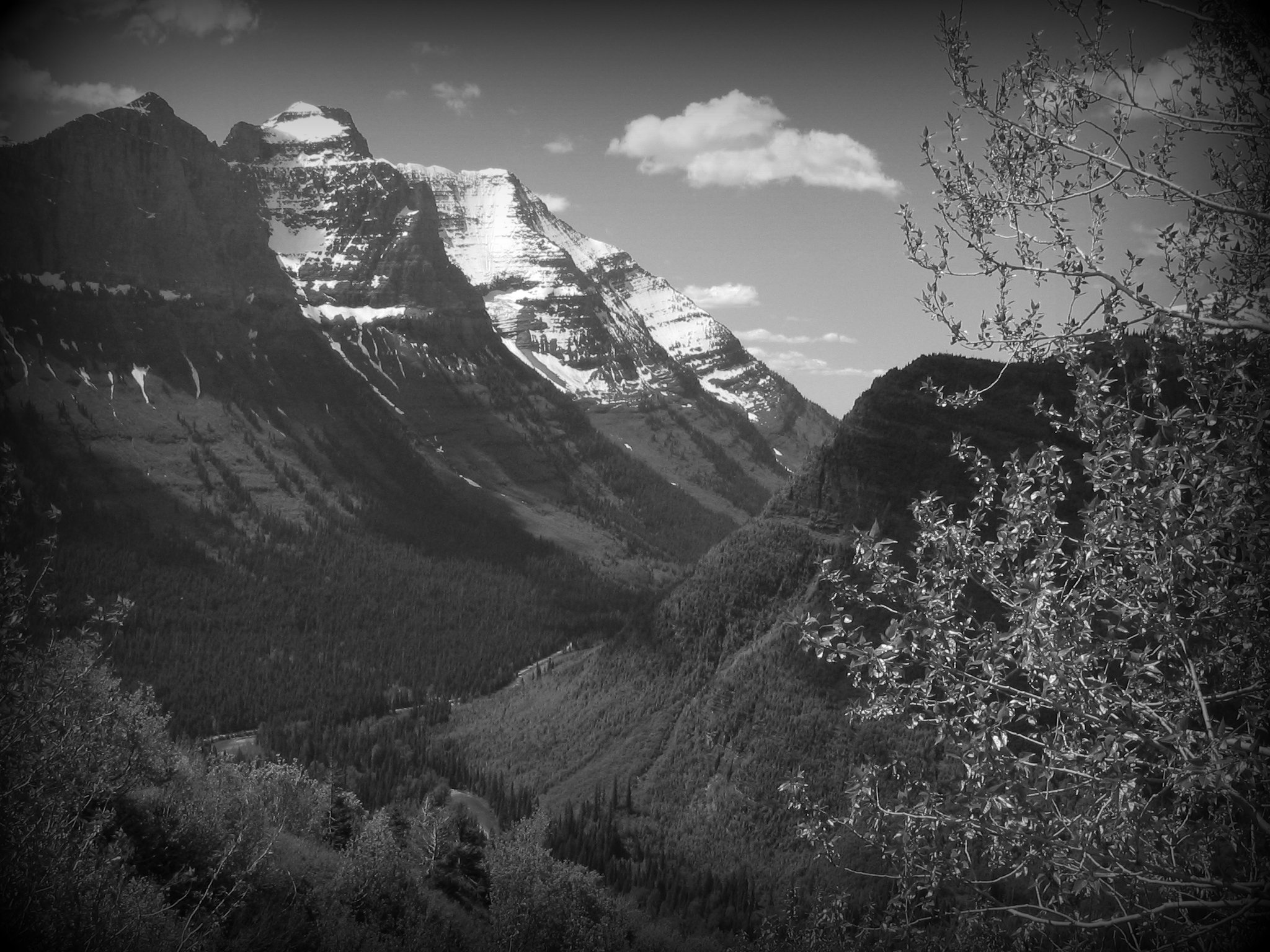 Glacier National Park Map Google