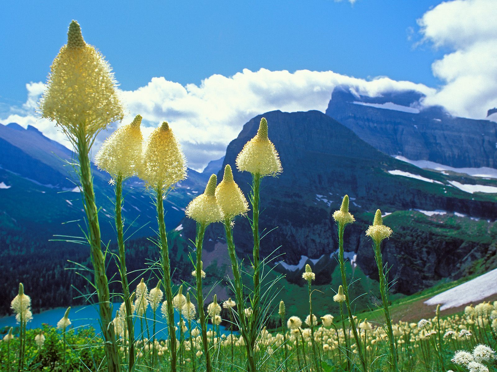 Glacier National Park Montana