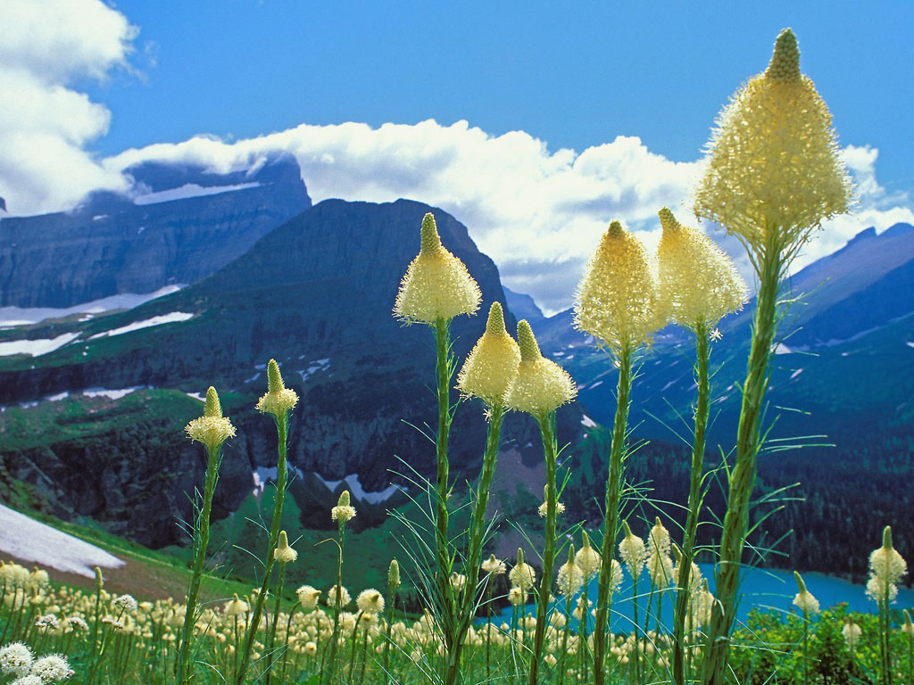 Glacier National Park Montana