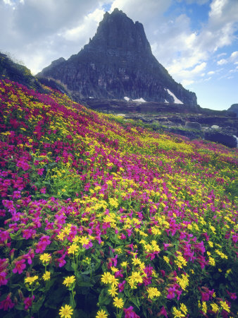 Glacier National Park Montana Usa