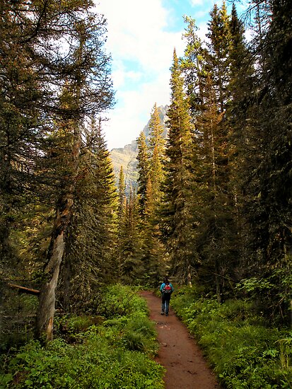 Glacier National Park Montana Usa