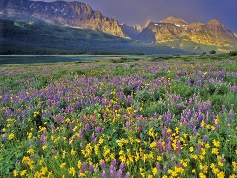 Glacier National Park Montana Usa