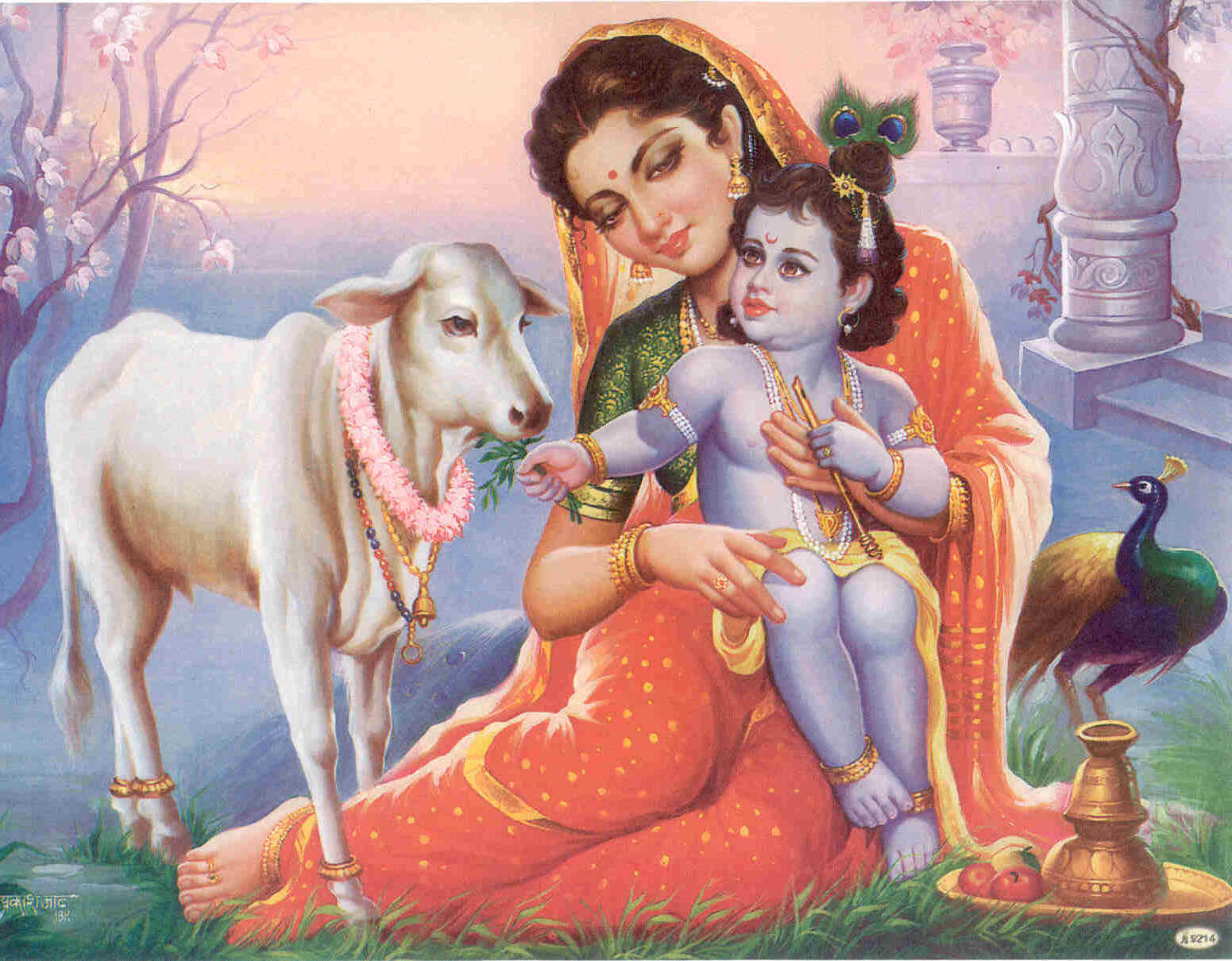 God Krishna Radha Photos