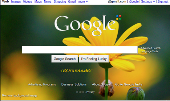 Google Homepage Backgrounds