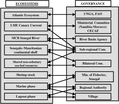 Governance Structure Examples