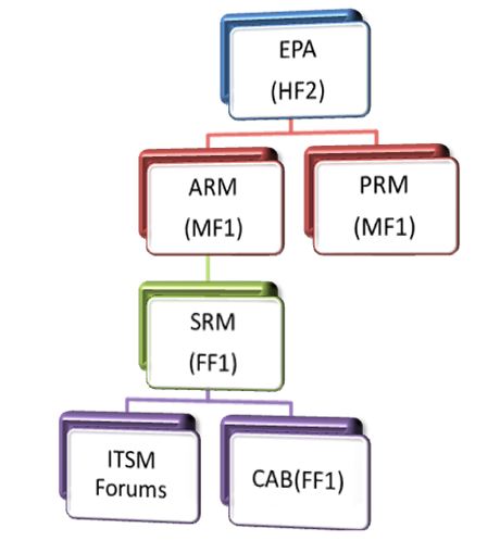 Governance Structure Examples