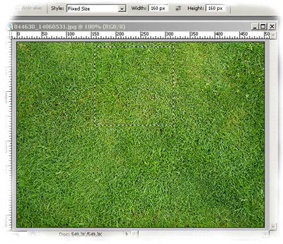 Grass Patterns For Photoshop