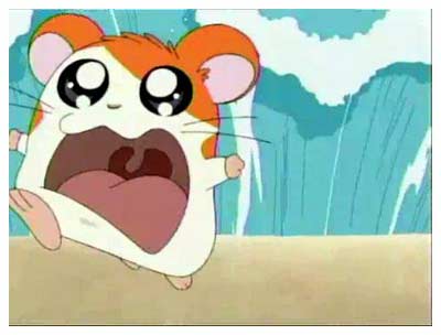 Hamtaro