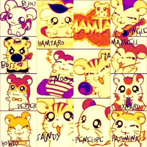 Hamtaro And Friends