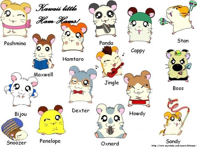 Hamtaro Bijou