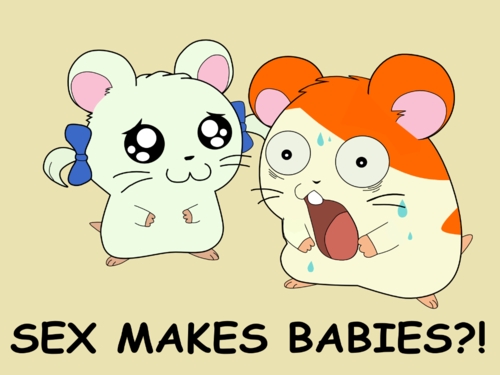 Hamtaro Bijou