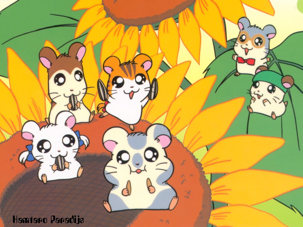 Hamtaro Christmas