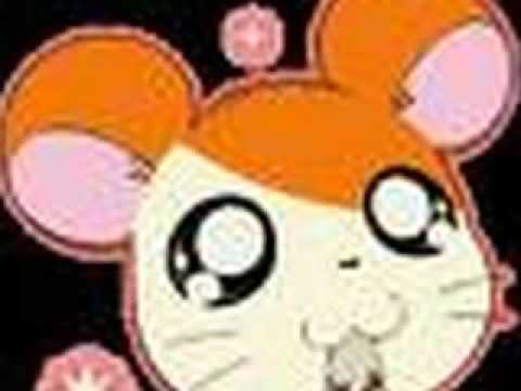 Hamtaro Laura And Travis