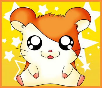 Hamtaro Laura Haruna