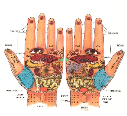 Hand Reflexology Pressure Points Chart