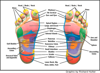 Hand Reflexology Pressure Points Chart