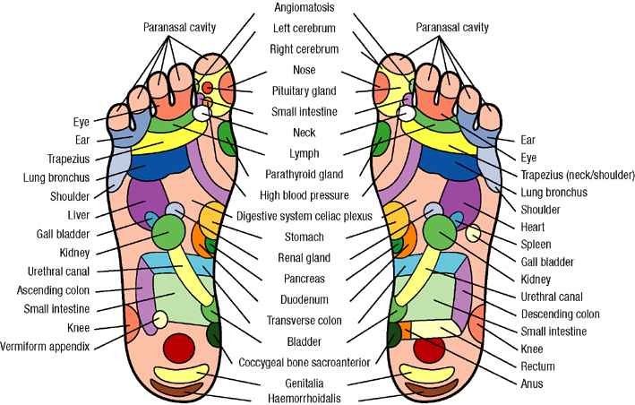 Hand Reflexology Pressure Points Chart