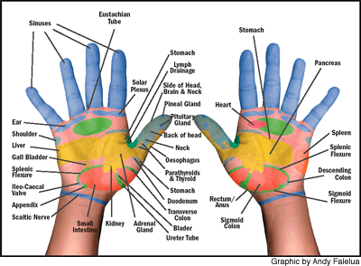 Hand Reflexology Pressure Points Chart