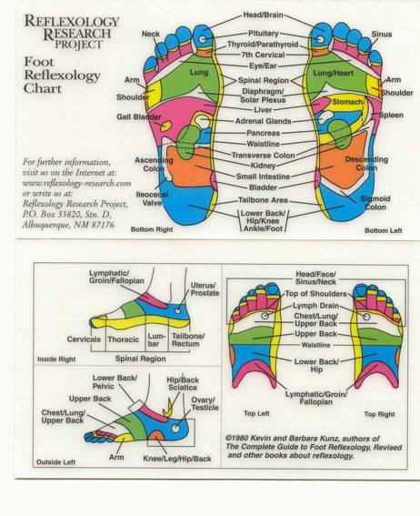 Hands Pressure Points Chart