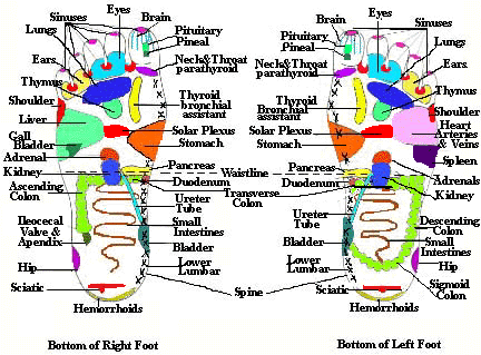 Hands Pressure Points Chart