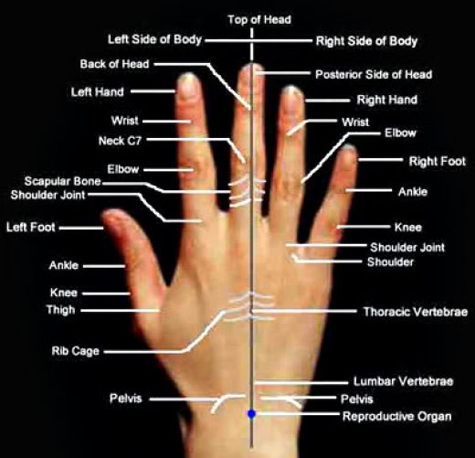 Hands Pressure Points Chart