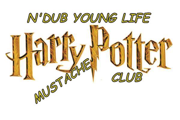 Harry Potter Logo Hp