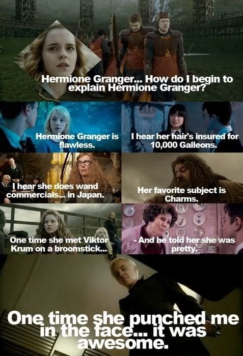 Harry Potter Memes Hermione