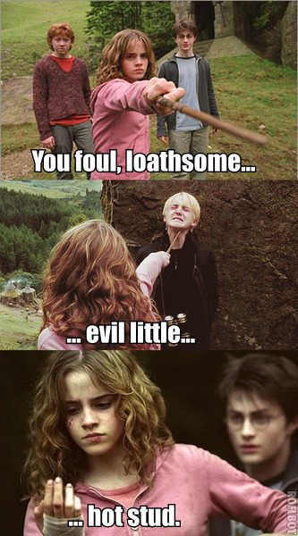 Harry Potter Memes Hermione