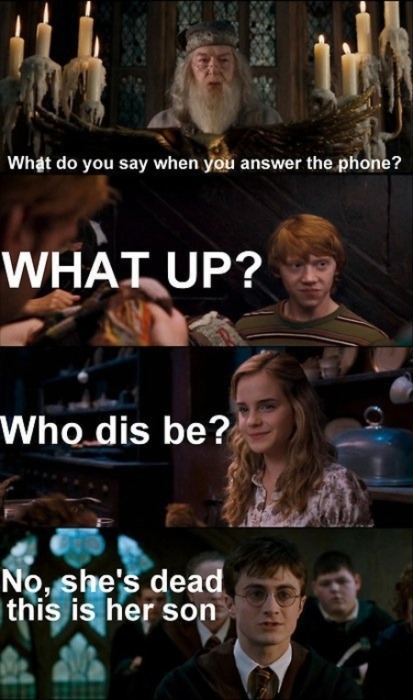 Harry Potter Memes Hermione