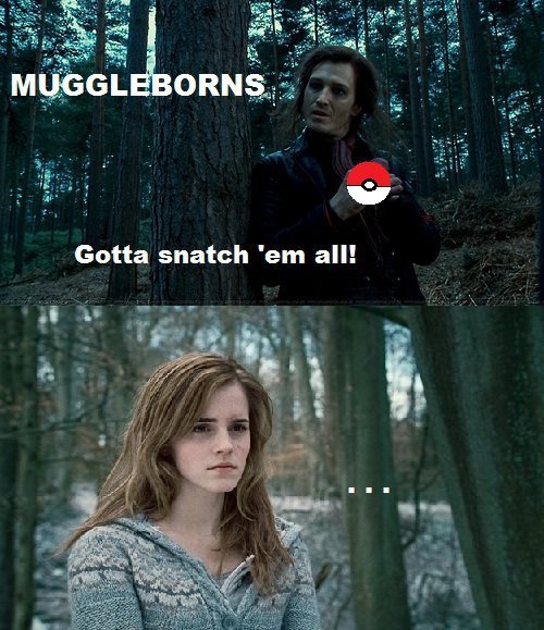 Harry Potter Memes Hermione