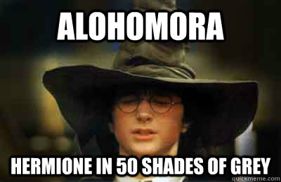 Harry Potter Memes Hermione