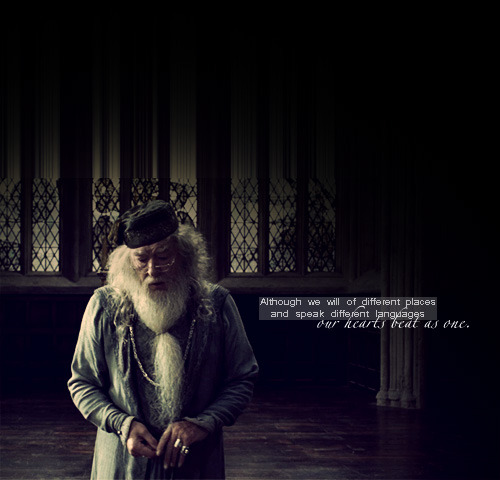 Harry Potter Quotes Love Dumbledore