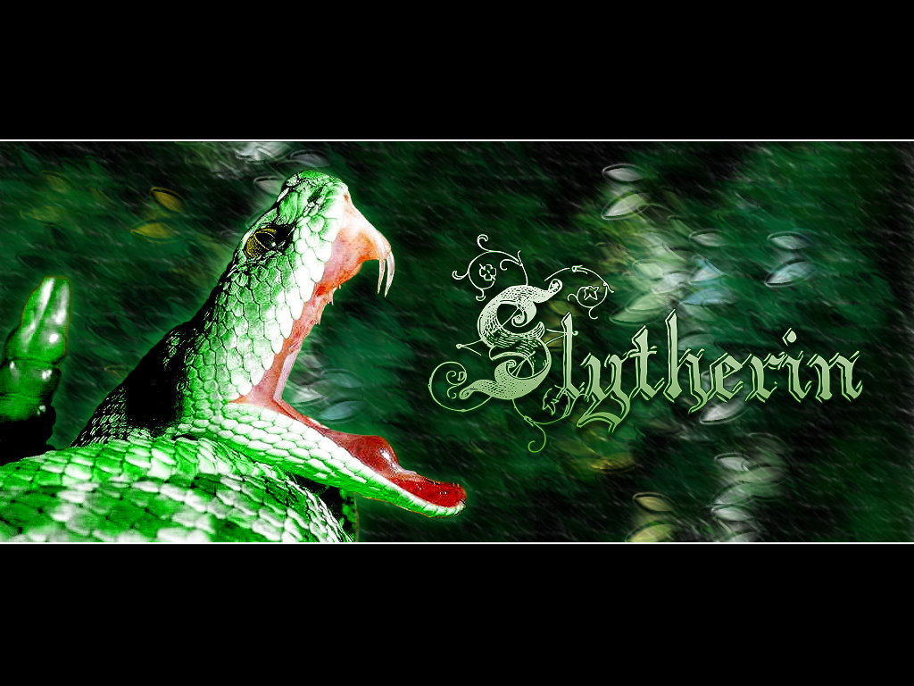 Harry Potter Wallpaper Hogwarts Slytherin