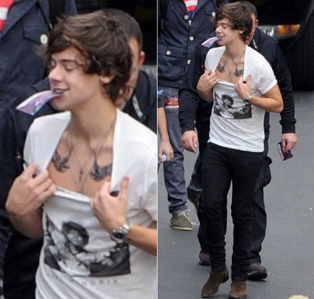 Harry Styles Butterfly Tattoo On Stomach