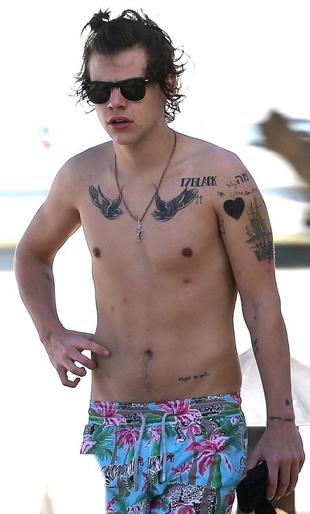 Harry Styles Shirtless Tumblr