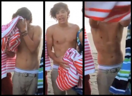 Harry Styles Shirtless Tumblr