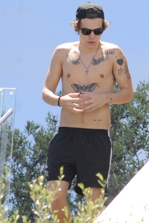 Harry Styles Tattoo Shirtless