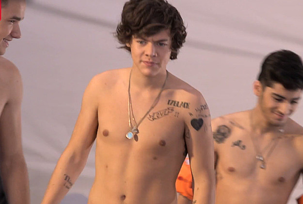 Harry Styles Tattoo Shirtless