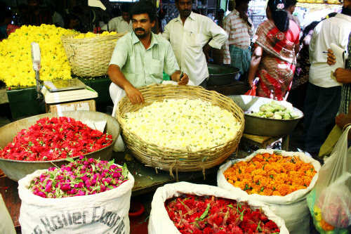 Harvest Festivals Of Kerala