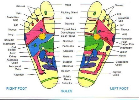 Head Massage Pressure Points Chart