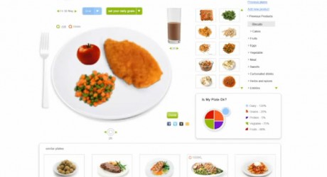 Healthy Diet Plate Percentages