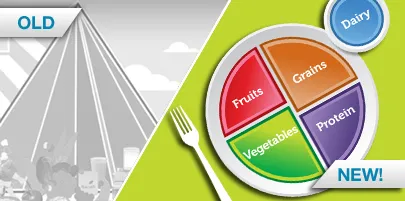 Healthy Diet Plate Percentages