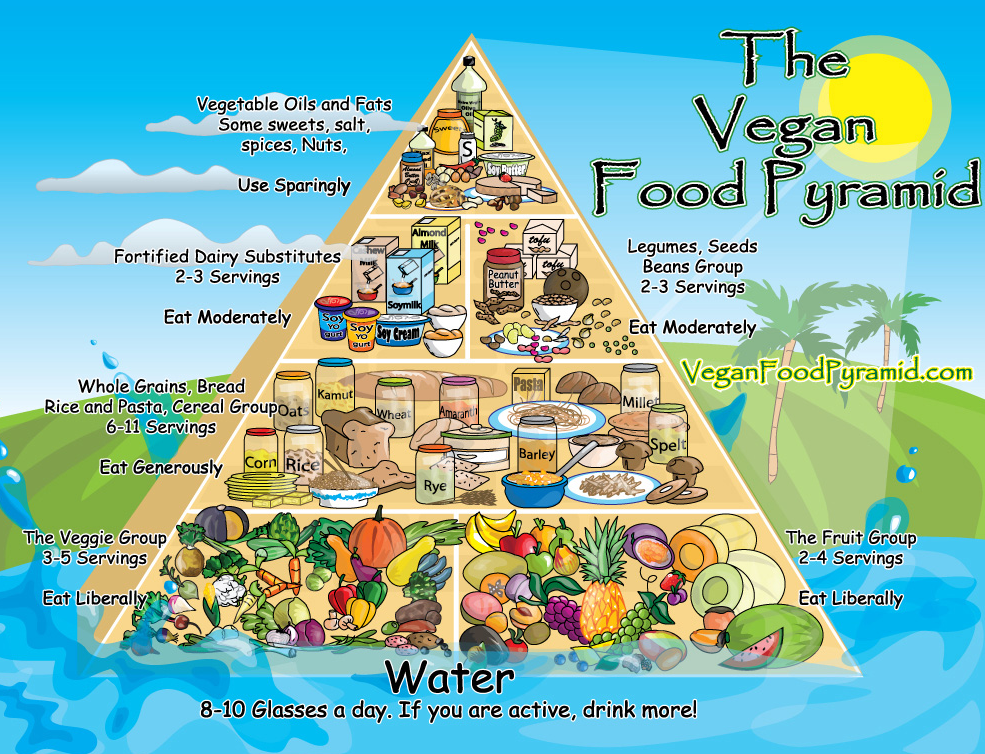 Healthy Diet Pyramid For Children