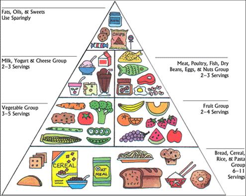 Healthy Diet Pyramid For Children