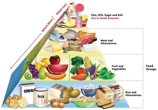 Healthy Diet Pyramid For Kids