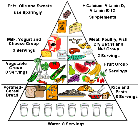 Healthy Diet Pyramid Worksheet